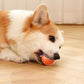 Varmt salg 49% OFF🎁Smart Pet Bounce interaktiv ball🐶