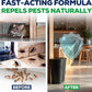 Helt ny emballasje – materialene og resultatene er nøyaktig som vist i videoen! 👍Hett salg – Kjøp 2 få 1 gratis 🗑️ Naturlig peppermènteolje insekt- og skadedyrspray 🤻🦥 – Maksimal styrke – Trygg duftformel for hjem & hage