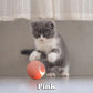 Beste Gave - Smarte Katteballen