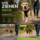 Trekkfritt hundesele – reflekterende, pustende og med to festepunkter for kobbel