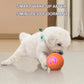 Varmt salg 49% OFF🎁Smart Pet Bounce interaktiv ball🐶