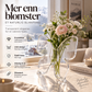 🦋 Gjennomsiktig sommerfuglvas – krystallklar plast, stabil base. Perfekt til blomster, bordpynt og gaver! ✨💐