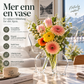 🦋 Gjennomsiktig sommerfuglvas – krystallklar plast, stabil base. Perfekt til blomster, bordpynt og gaver! ✨💐