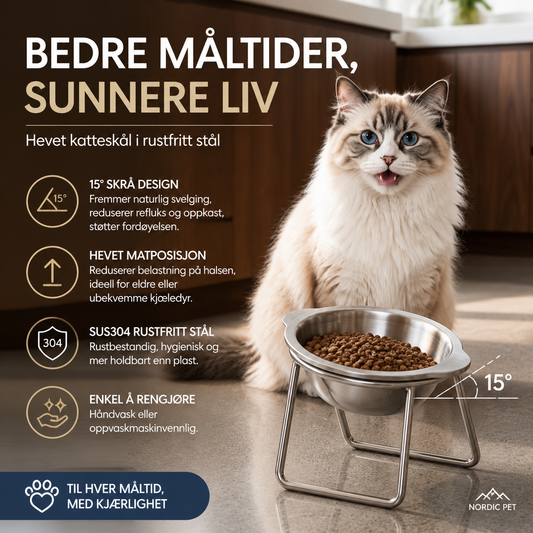🏆 Spesialpris på siste dag: 219 kr! 🥣Ortopedisk matskål med 15° helling