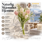 🦋 Gjennomsiktig sommerfuglvas – krystallklar plast, stabil base. Perfekt til blomster, bordpynt og gaver! ✨💐