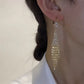 🎁 🌟Øredobber med zirkon og dusk av rhinestone🌟