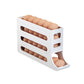 🔥HOT SALE🔥Multifunksjonell 4-lags Tilted Design Slide Egg Storage Box