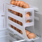 🔥HOT SALE🔥Multifunksjonell 4-lags Tilted Design Slide Egg Storage Box