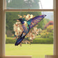 Kolibri solfanger