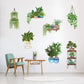 🌵3D-veggklistremerke med grønn plante