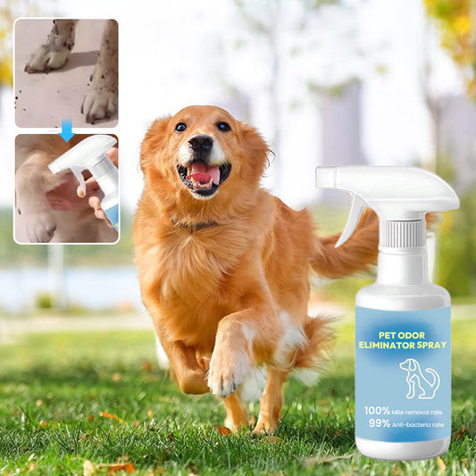 🐱🐶Spray for fjerning av kjæledyrlukt🍃