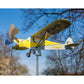 HOT SALE 50% OFF - Vindspinner for fly, vindspinner for fly, pinwheel