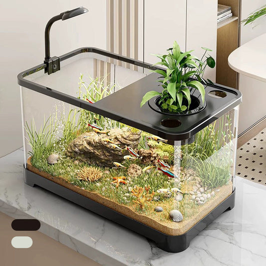 Liten hjemme akvarium
