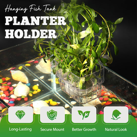 Hengende akvariumplanterholder