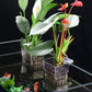 Hengende akvariumplanterholder
