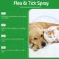 🍃Naturlig loppe- og flåttspray for hunder og katter🐾 Hold ditt kjære kjæledyr fritt for skadedyr