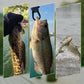 Bionisk frosk fiskesluk