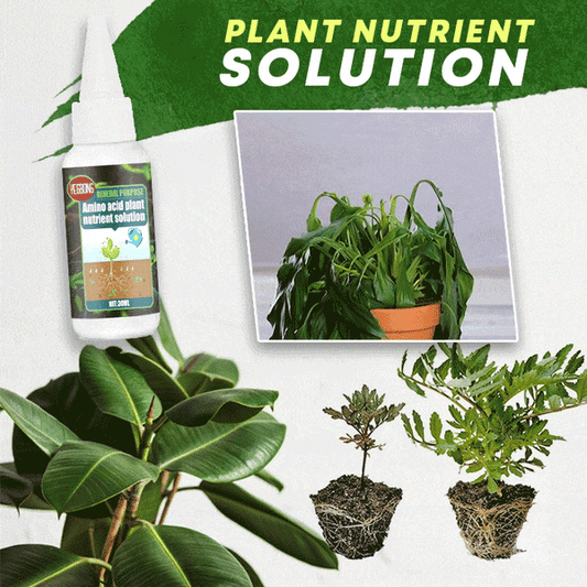 🔥Kjøp 2, få 1 gratis (3 enheter)🔥 Næringsrik planteløsning