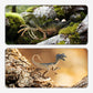 🥳2026 SALG🥳💞50K+ SOLGT! 🦖🎁 50% RABATT! Morsomt & lærerikt dinosaurlekesett for barn – T-Rex-hode oppbevaringsboks holder leketøy organisert. Naturtro figurer, vanntett & holdbar – vekker fantasi & læring! 🧩✨