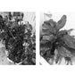 Justerbar automatisk vannkontrolltimer for grønne planter
