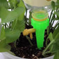 Justerbar automatisk vannkontrolltimer for grønne planter