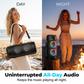 Portable Bluetooth Speaker with Wired Microphones