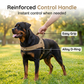 Pustende sommersele til hund