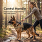 Pustende sommersele til hund