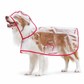 📢 Nyhet – 50 % rabatt 🐕 Gjennomsiktig, vanntett regnjakke til hund – hold hunden tørr og synlig på regnfulle turer 🌧️