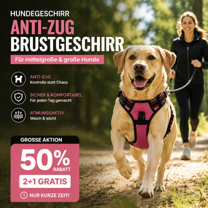 Trekkfritt hundesele – reflekterende, pustende og med to festepunkter for kobbel