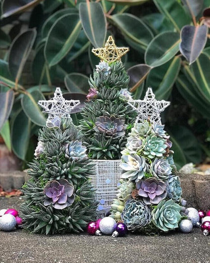 🔥Siste dag 70% RABATT - 🎁🎄Sukkulent kunsttre