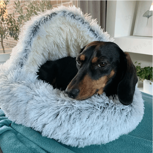 🐶KoseligHule😺 - Premium seng for kjæledyr